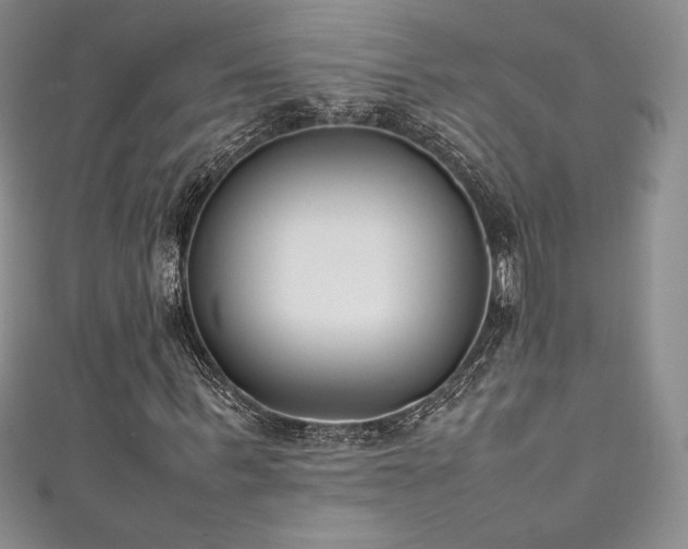 X0000111530963200907141525