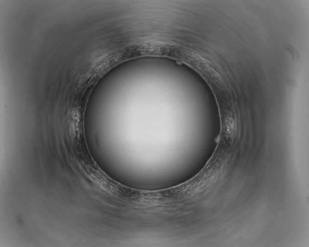 X0000111530964200907141525