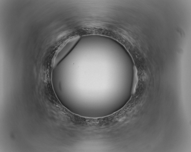 X0000111530965200907141525