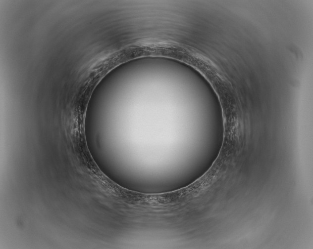 X0000111530966200907141525