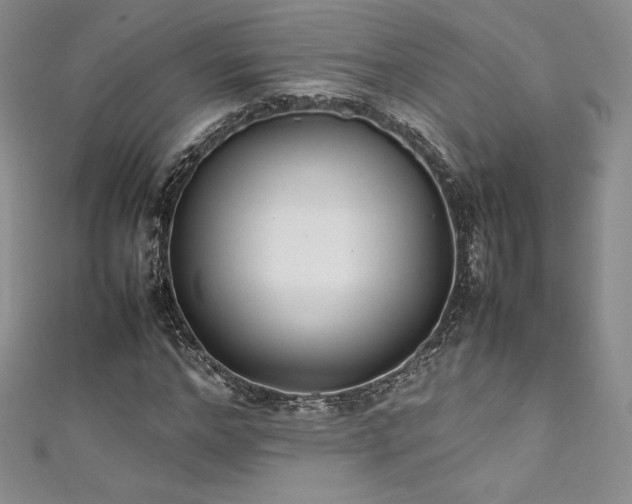 X0000111530968200907141525