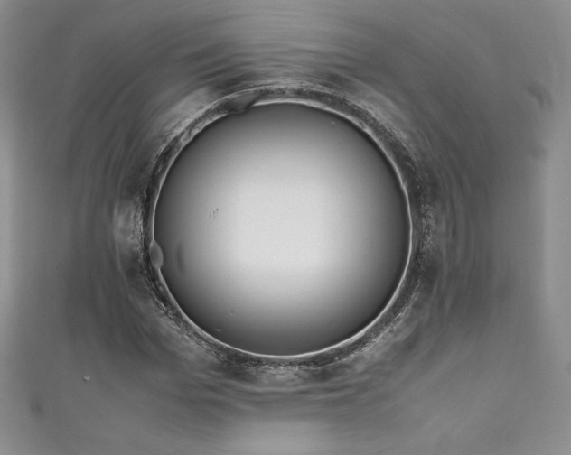 X0000111530969200907141525