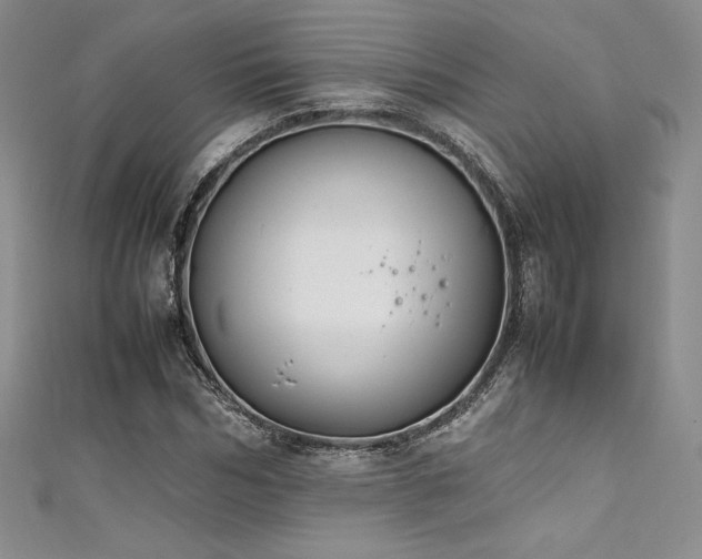 X0000111530970200907141525