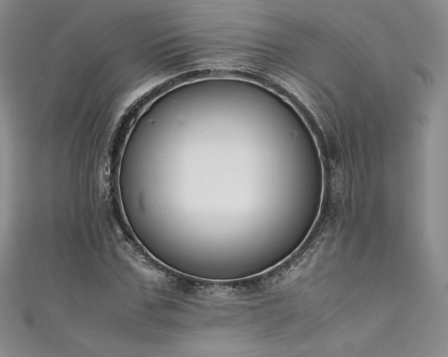 X0000111530971200907141525