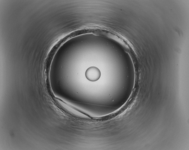 X0000111530973200907141525