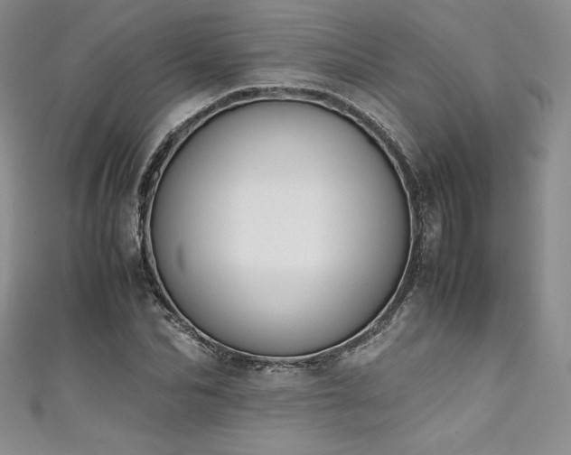 X0000111530974200907141525