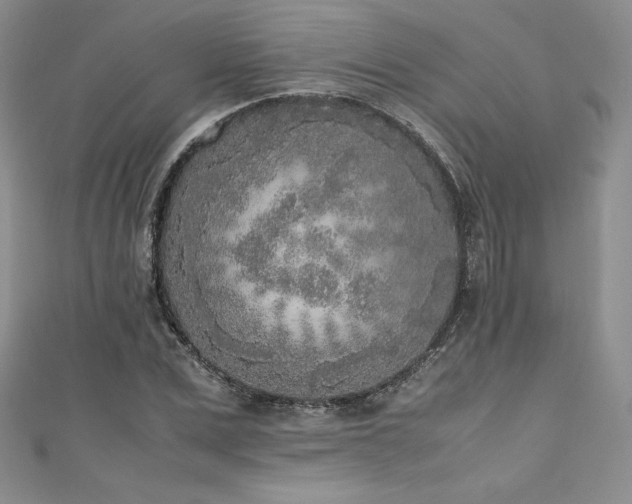 X0000111530975200907141525