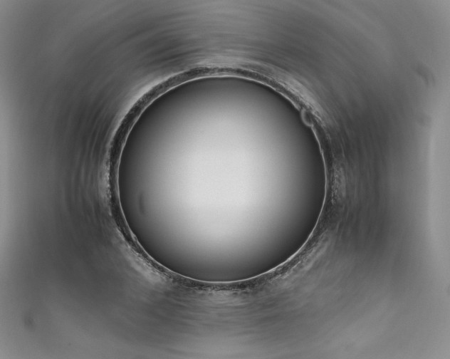 X0000111530976200907141525