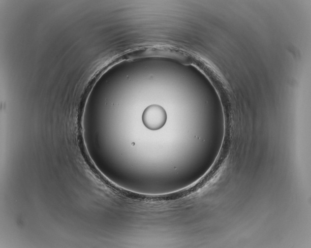 X0000111530977200907141525