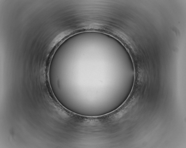 X0000111530978200907141525