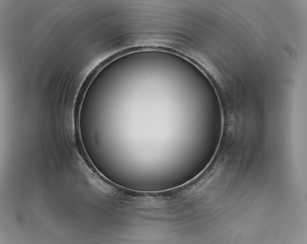 X0000111530980200907141525