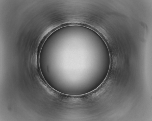 X0000111530982200907141525