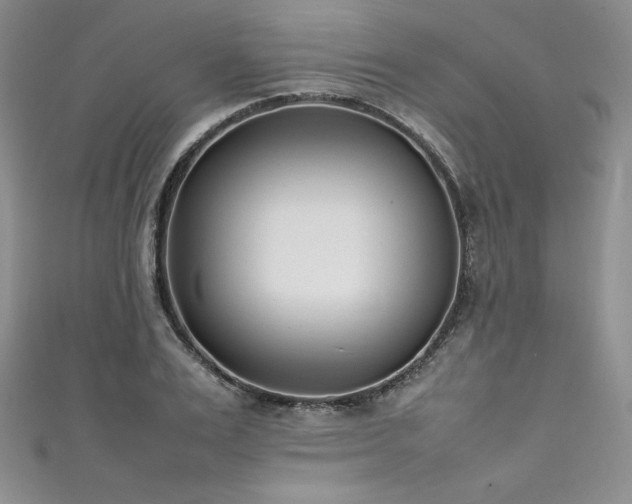 X0000111530983200907141525