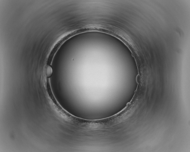 X0000111530984200907141525