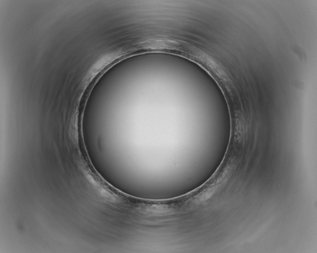 X0000111530986200907141525