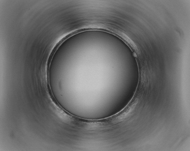 X0000111530988200907141525