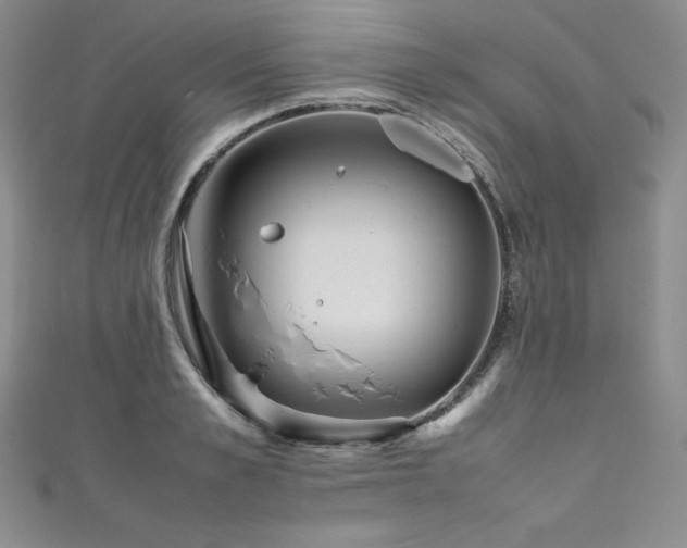 X0000111530989200907141525