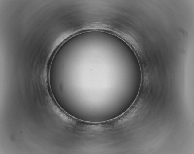 X0000111530990200907141525