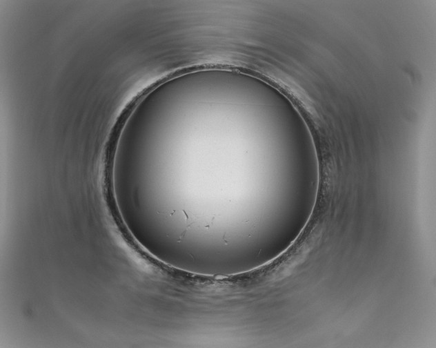 X0000111530991200907141524