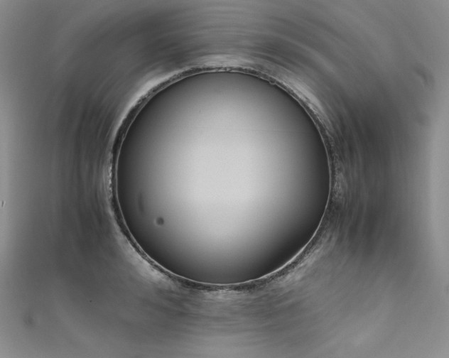 X0000111530992200907141524