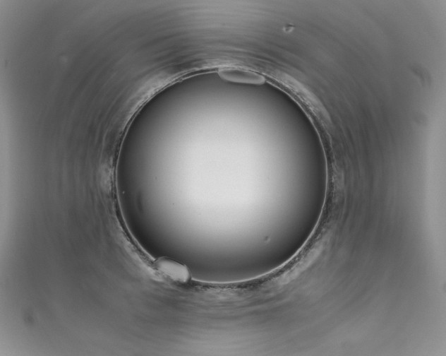 X0000111530993200907141524