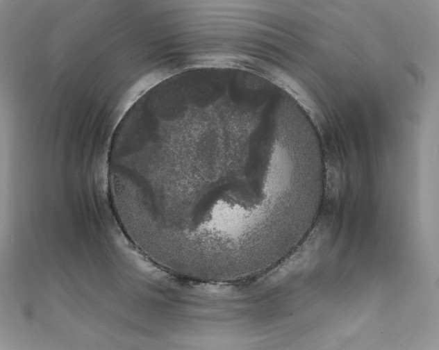 X0000111530994200907141524