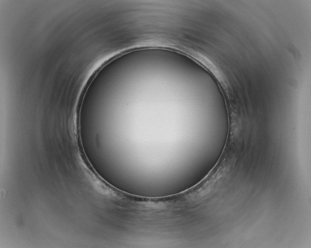 X0000111530996200907141524