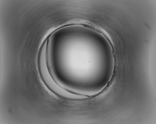 X0000111530997200907141524