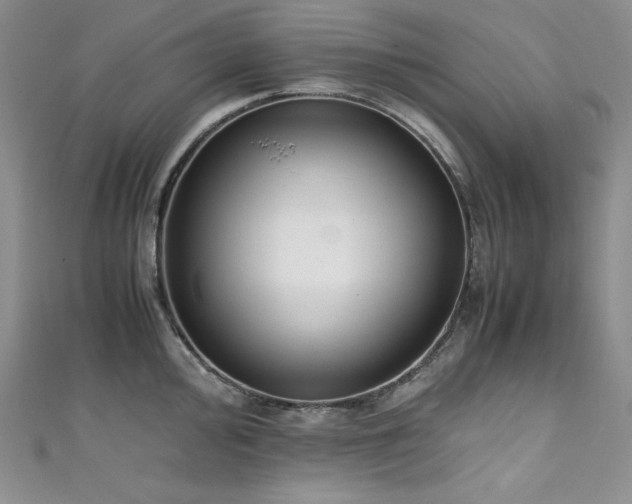 X0000111531000200907141524