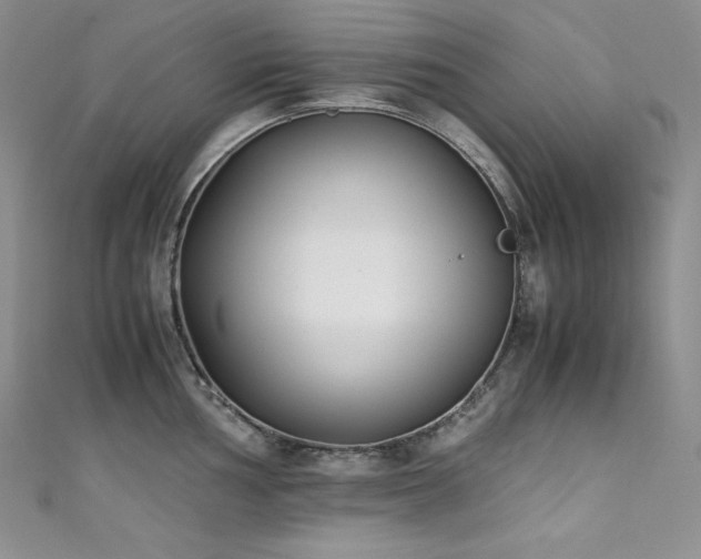 X0000111531002200907141524