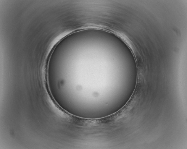 X0000111531003200907141524