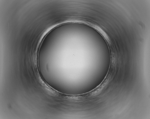 X0000111531004200907141524