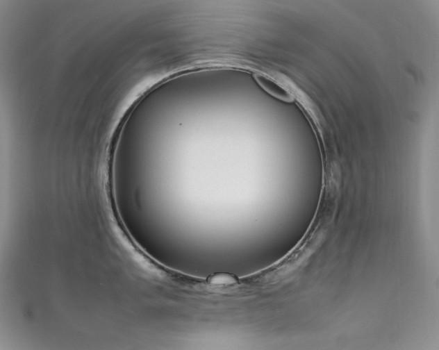 X0000111531005200907141524