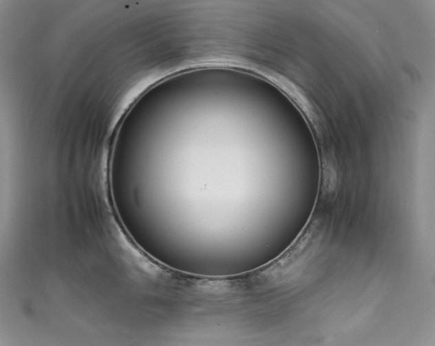 X0000111531006200907141524