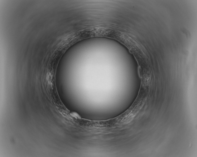 X0000111531010200907141524