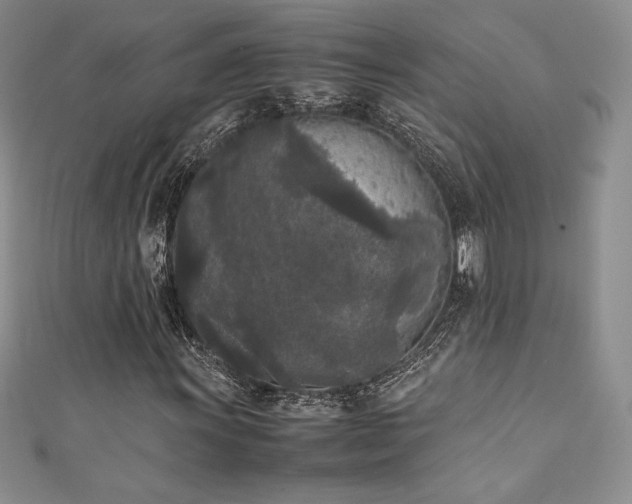 X0000111531011200907141524