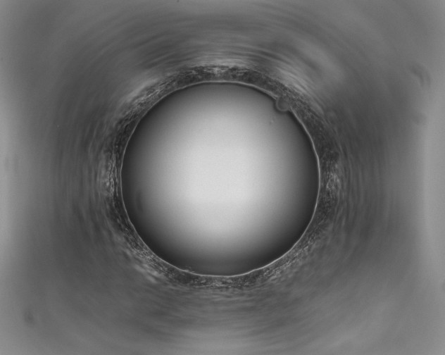 X0000111531014200907141524