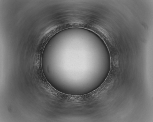 X0000111531015200907141524