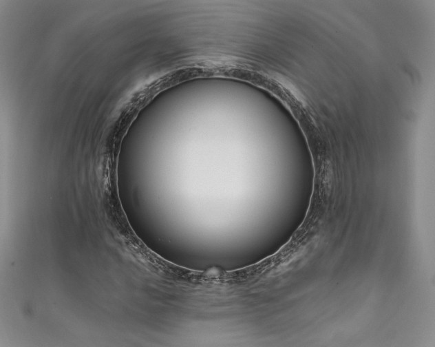 X0000111531016200907141524