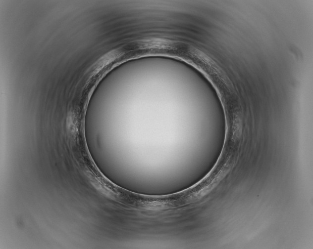 X0000111531017200907141524