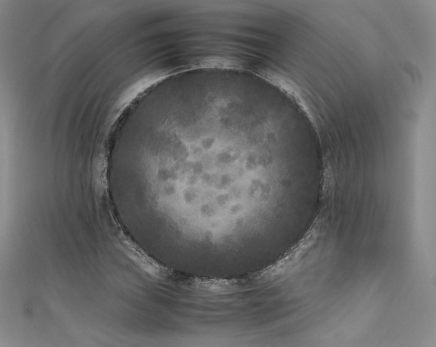 X0000111531019200907141524