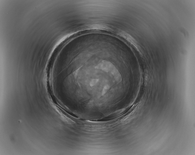 X0000111531024200907141524