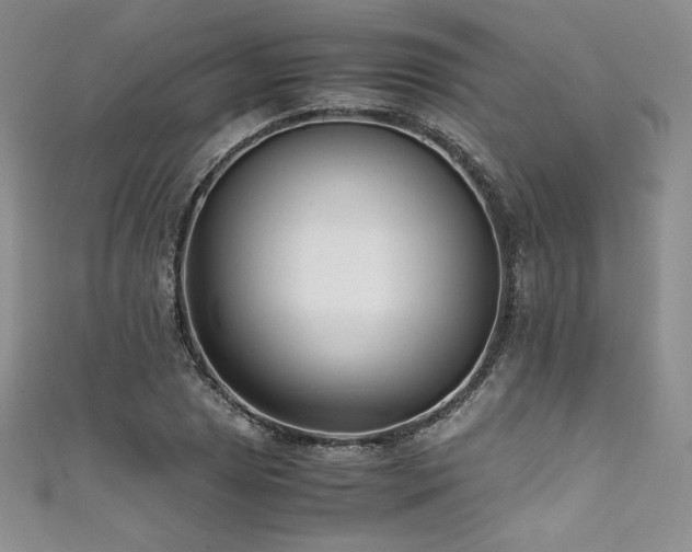 X0000111531025200907141524