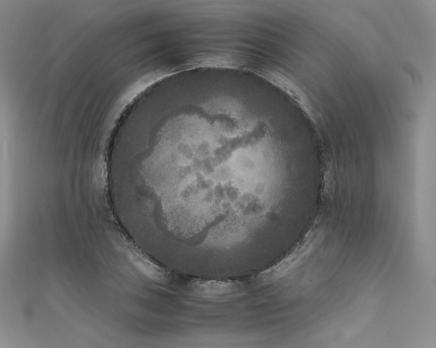 X0000111531027200907141524