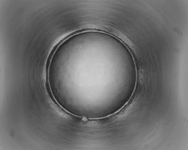 X0000111531028200907141524