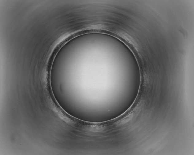 X0000111531029200907141524