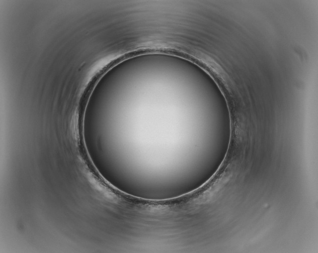 X0000111531030200907141524