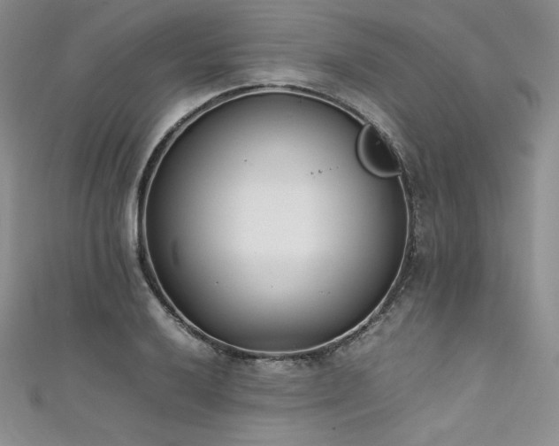 X0000111531032200907141524