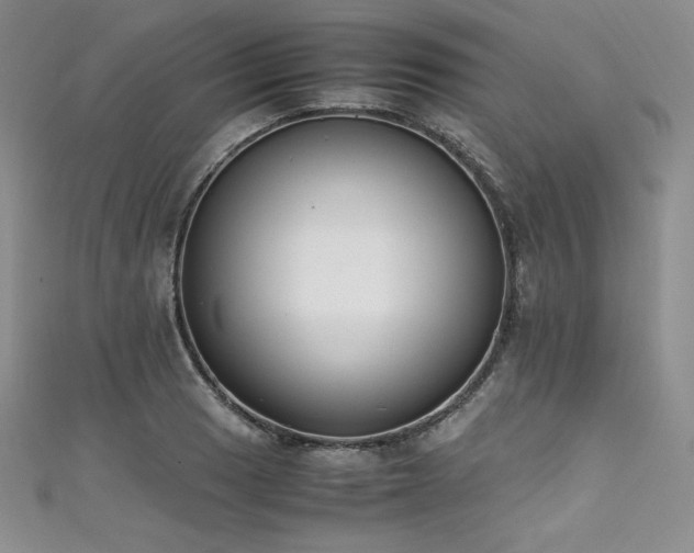 X0000111531033200907141524