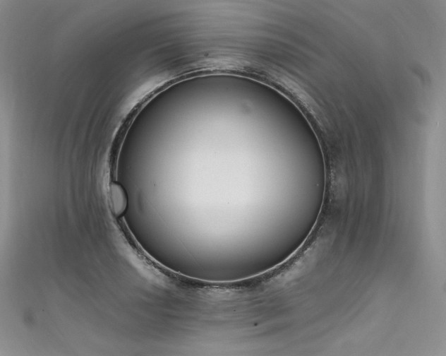 X0000111531034200907141524